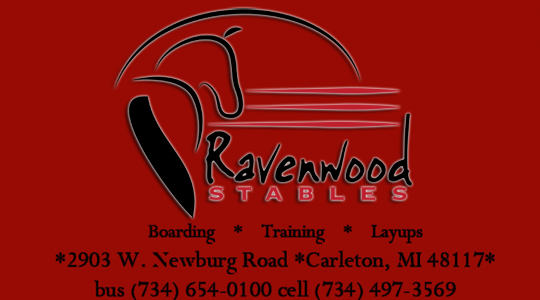 A description of your website goes here